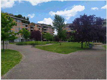 Case Vacanza affitto