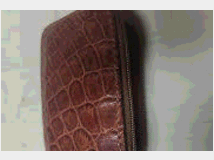 pelletteria-portafogli-porta 