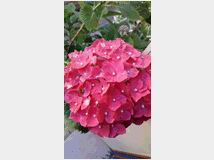 massaggi-rituali-tantra-massaggi 